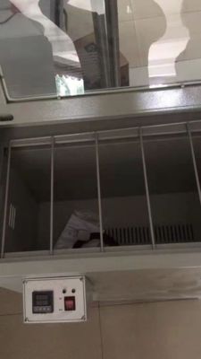 HDG-200C दूर अवरक्त फिल्म सुखाने ओवन 220V 2000W